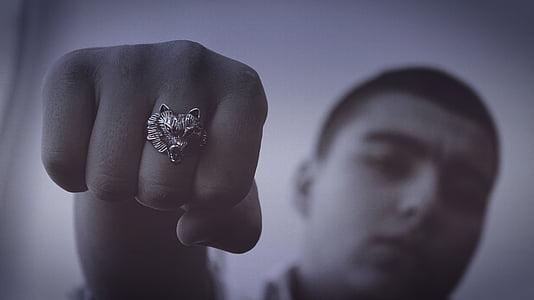selective focus photography of man showing silver-colored wolf signet ring thumbnail