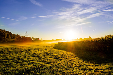 green grass field during golden hour thumbnail