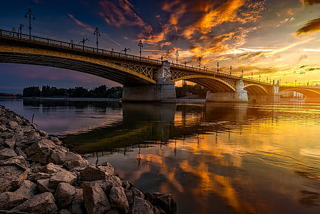 brown and gray concrete bridge thumbnail
