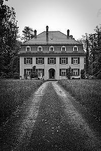 grayscale photo of house surrounded by trees thumbnail