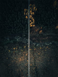 aerial photography of long narrow hanging bridge thumbnail