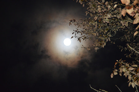 photo of full moon thumbnail
