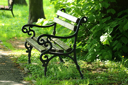 gray and black bench near green plant thumbnail