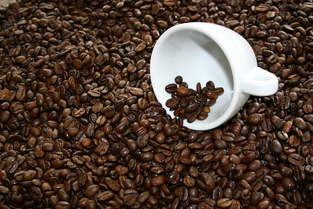 white ceramic cup on coffee beans thumbnail