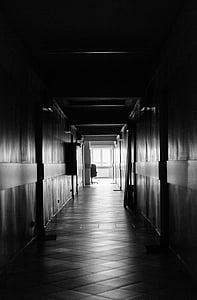 grayscale photography of hallway thumbnail