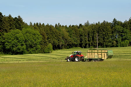 red farm tractor on green grass field during daytime thumbnail