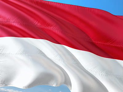 red and white flag thumbnail