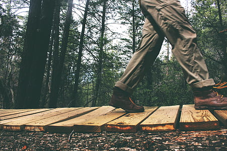 person walking on wooden bridge in forest during daytime thumbnail