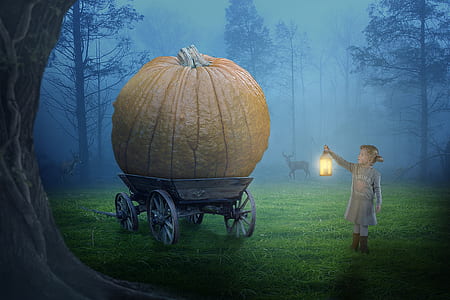 child in front of carriage illustration thumbnail