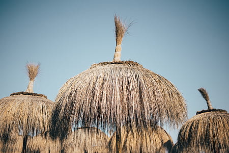 Dry grass umbrellas on the beach resort thumbnail