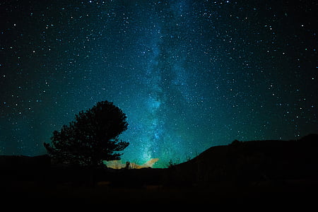 silhouette photograph of tree under starry night thumbnail