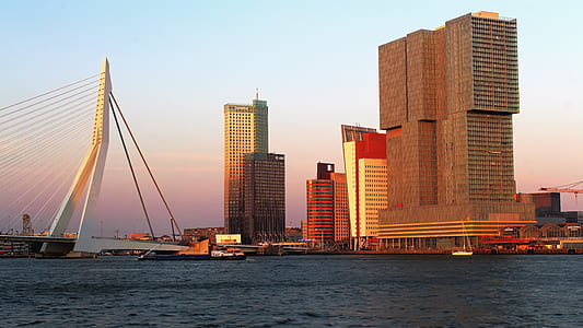 city buildings during daw thumbnail