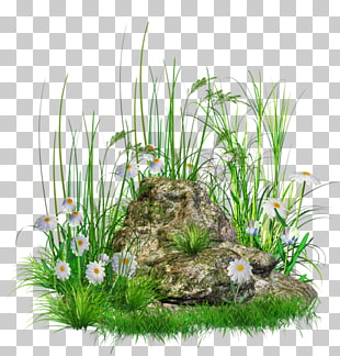 Rock , Stone with Grass and Flowers , rock surrounded by white flowers PNG clipart