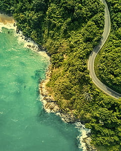 aerial photography of winding road near the sea thumbnail