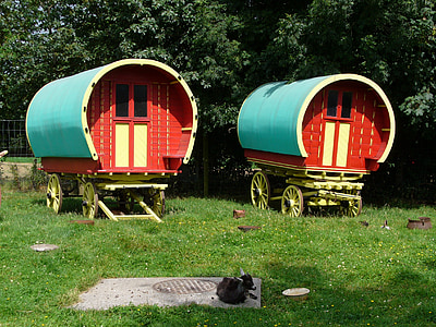 two red-and-blue wagons thumbnail