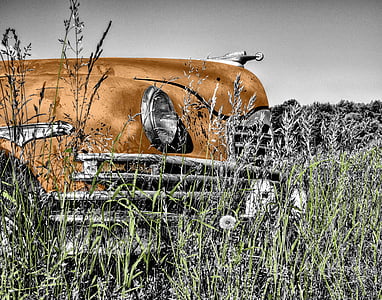 selective photo of brown and gray vehicle thumbnail