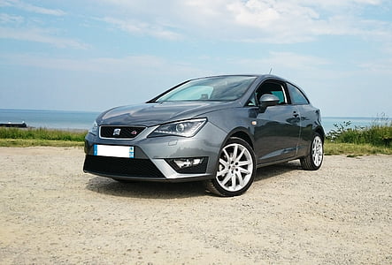 grey SEAT Leon 5-door hatchback parked near grasses and body of water thumbnail