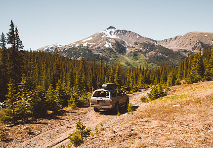 gray SUV on brown soil road in distance green tall trees at daytime thumbnail