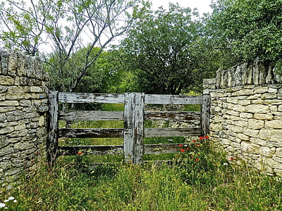 gray wooden gate with green grass at daytime thumbnail