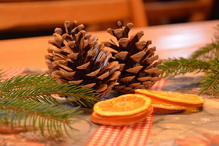 close-up photo of pinecones thumbnail