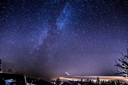 constellation above silhouette of trees thumbnail