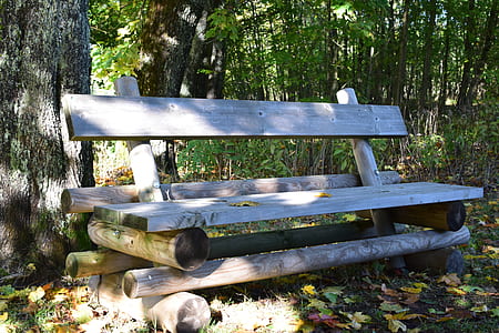 Brown Wooden Bench Near Tree Stem thumbnail