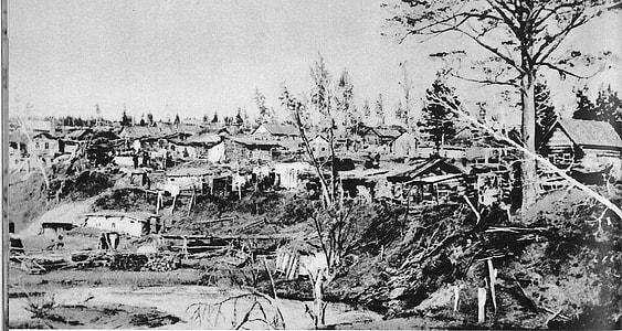 Novonikolayevsk in 1895 in Novosibirsk, Russia thumbnail