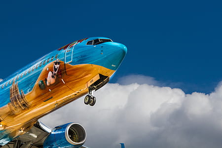 blue and orange flying airline during day time thumbnail