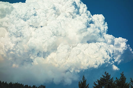 green trees under white clouds and blue sky at daytime thumbnail