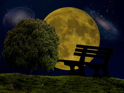 silhouette of bench near tree during nighttime thumbnail