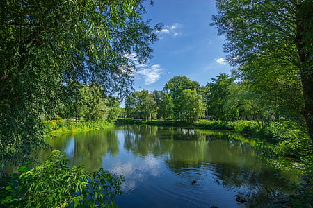 body of water surrounded by trees thumbnail