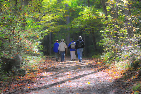 four people walking between trees during daytime thumbnail