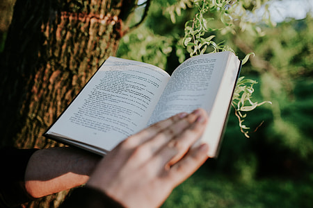 Man reading a book outdoors thumbnail