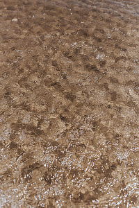 Soft wave of the sea on the sandy beach thumbnail
