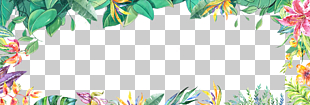 Summer fresh hand painted plant borders, multicolored floral template PNG clipart