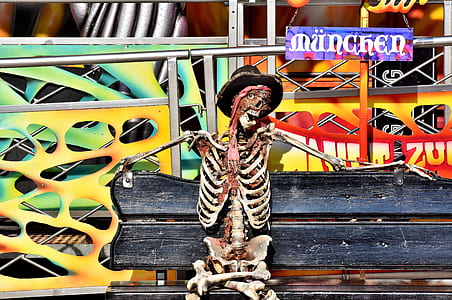 skeleton skull sitting on black wooden bench thumbnail