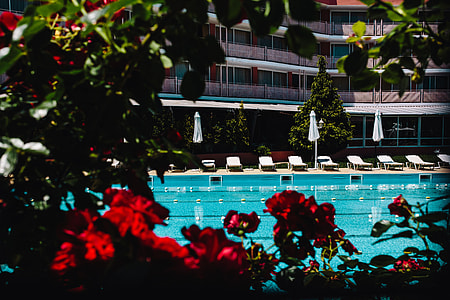 Blue ripped water in swimming pool thumbnail