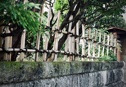 brown bamboo fence during daytime thumbnail