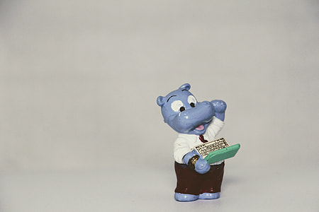 Happy Hippo, Collection thumbnail