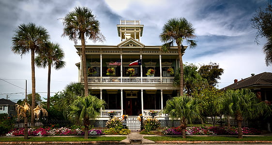 3-storey house surrounded by palm trees thumbnail