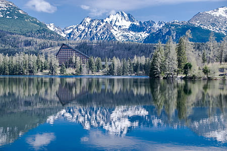 reflection of pine tress and house on body of water thumbnail