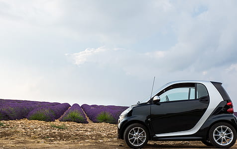 black and silver Smart Fortwo 3-door hatchback thumbnail