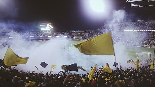 people, field, flags, yellow thumbnail