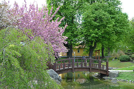 Bad Langensalza, Cherry Blossom thumbnail