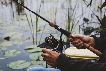 Cork Handled Fishing Rod Photo thumbnail