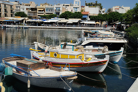 boats beside trees thumbnail