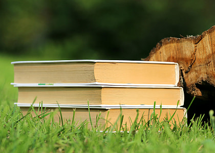 three white books and brown wood log on green grass thumbnail