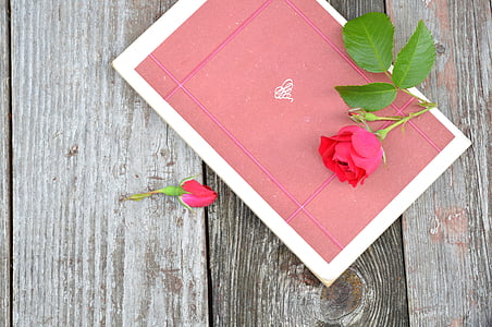 red rose and card on top of gray wooden surface thumbnail