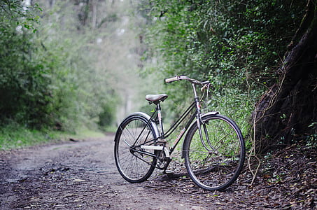 grey commuter's bicycle parked beside the tree thumbnail