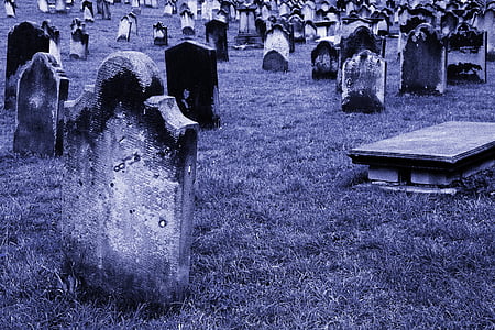 cemetery covered in grass thumbnail